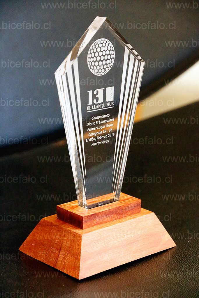 Trofeo Acrílico madera