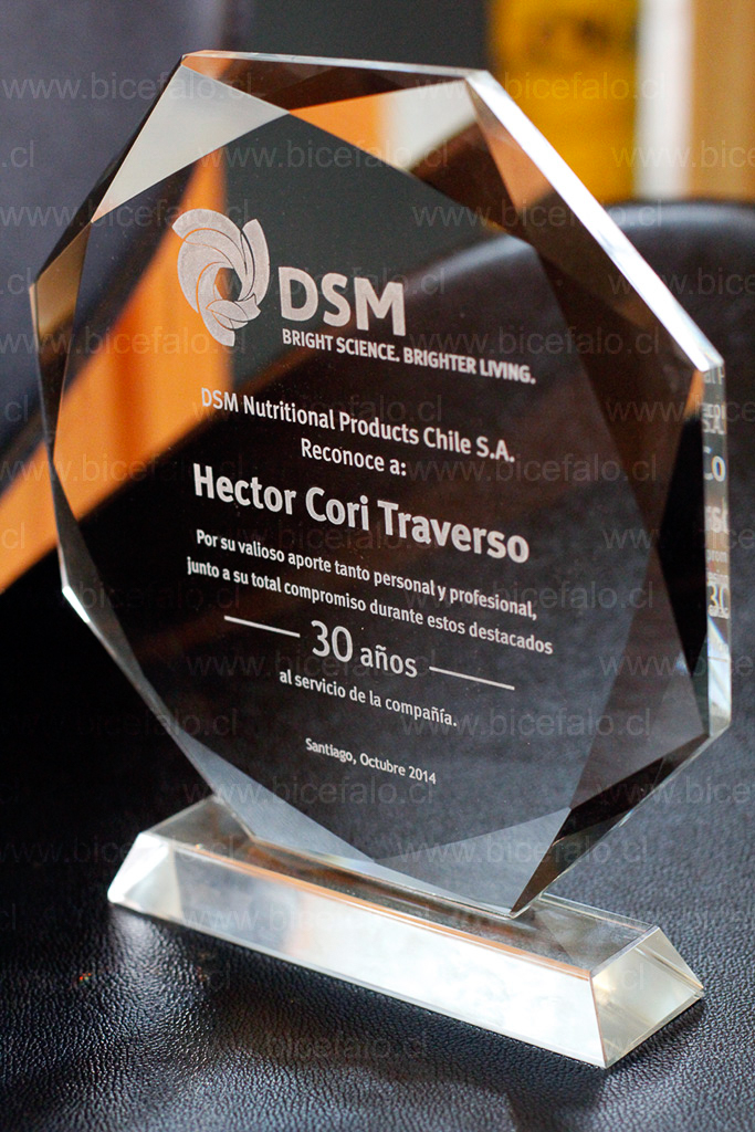 Trofeo cristal octogonal DSM