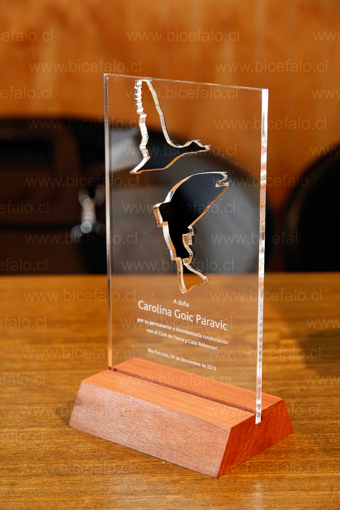Trofeo acrilico calado con madera