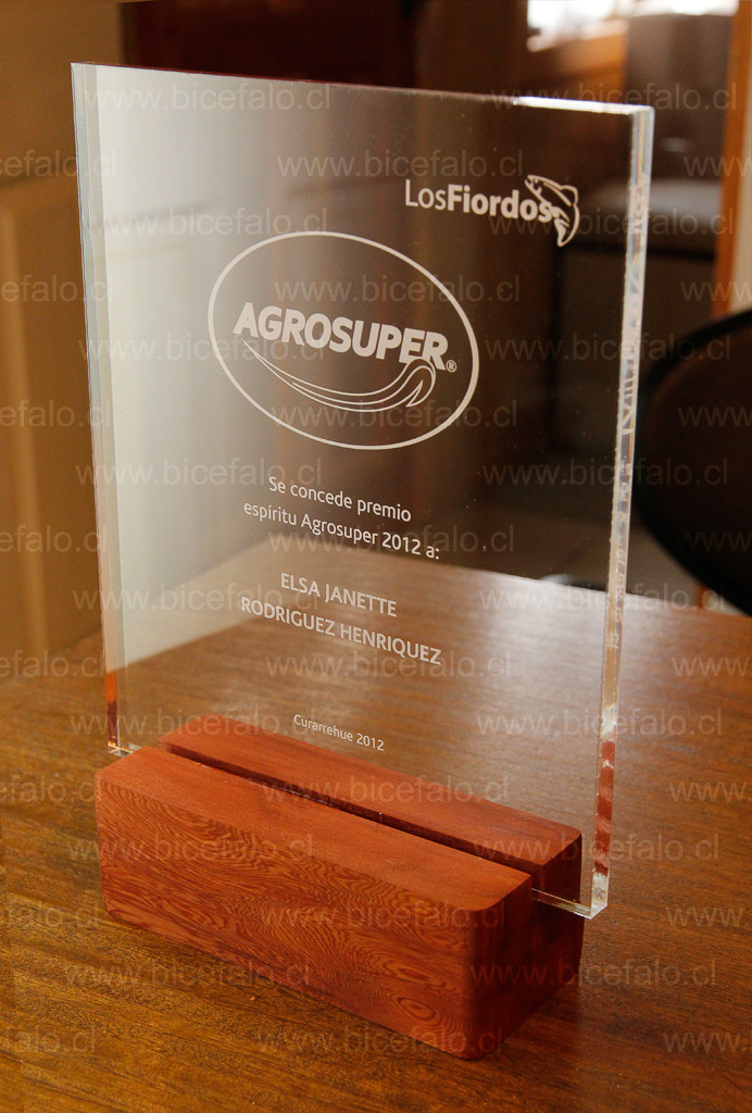 Trofeo acrilico madera