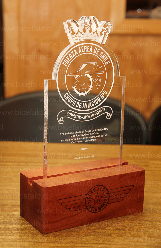Trofeo acrilico madera Fuerza aerea