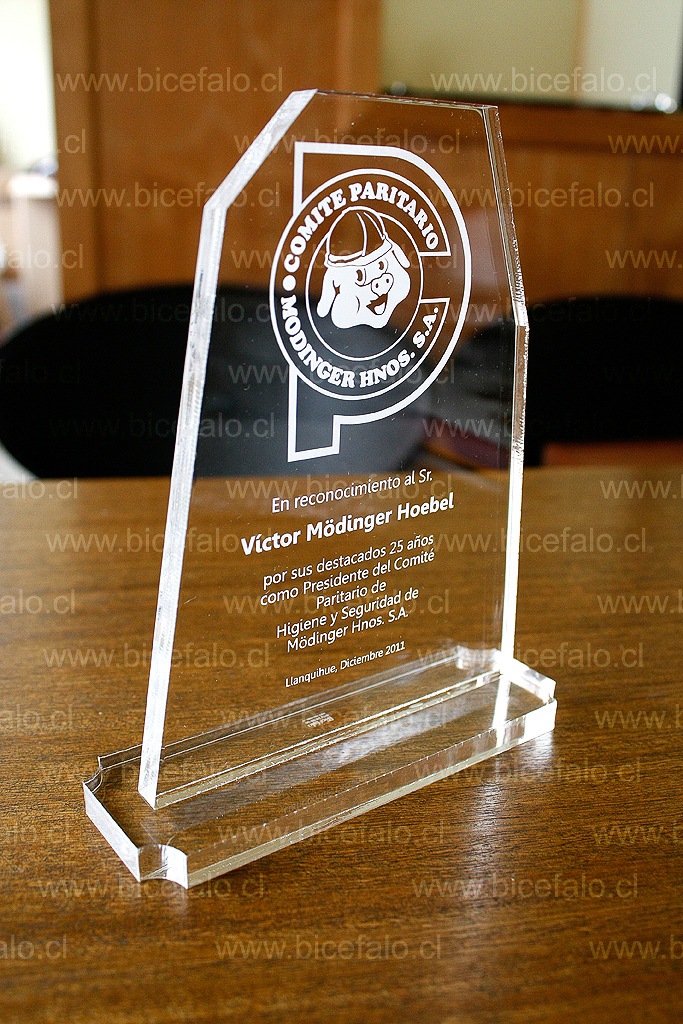 trofeo acrilico cecinas llanquihue