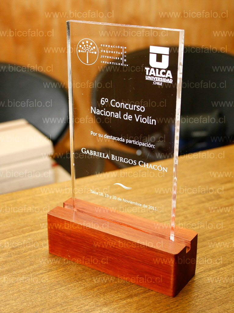 Trofeo acrilico madera