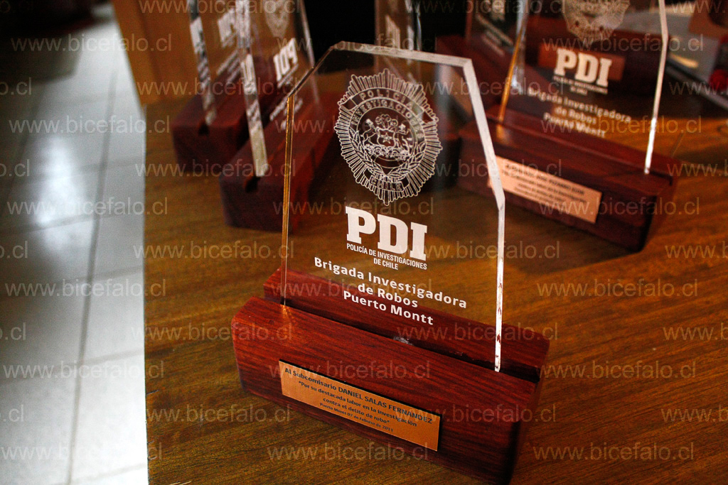 trofeo acrilico madera PDI