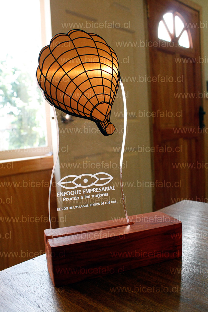trofeo reconocimiento empresas