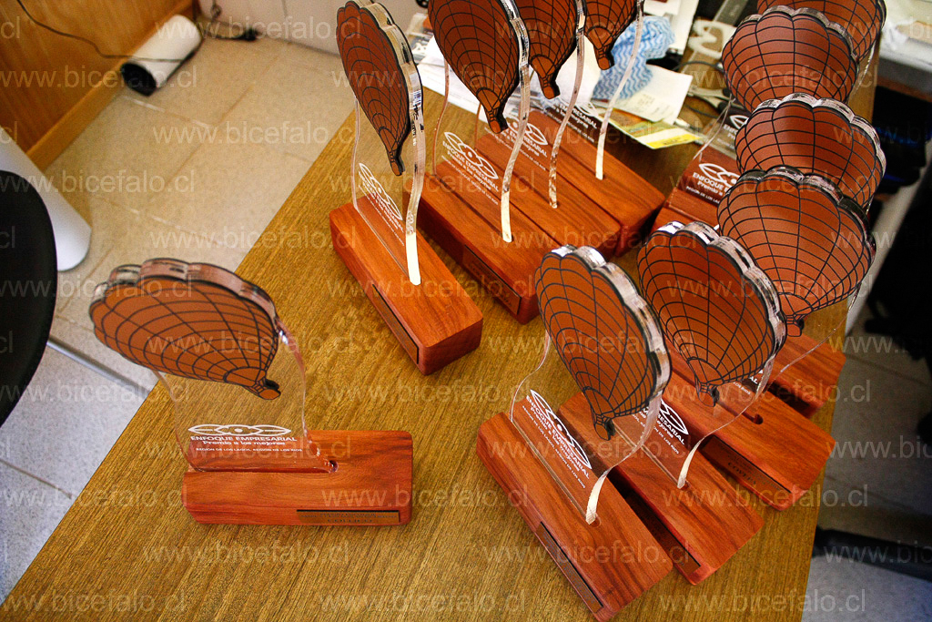 trofeo reconocimiento empresas acrilico madera metallex cobre