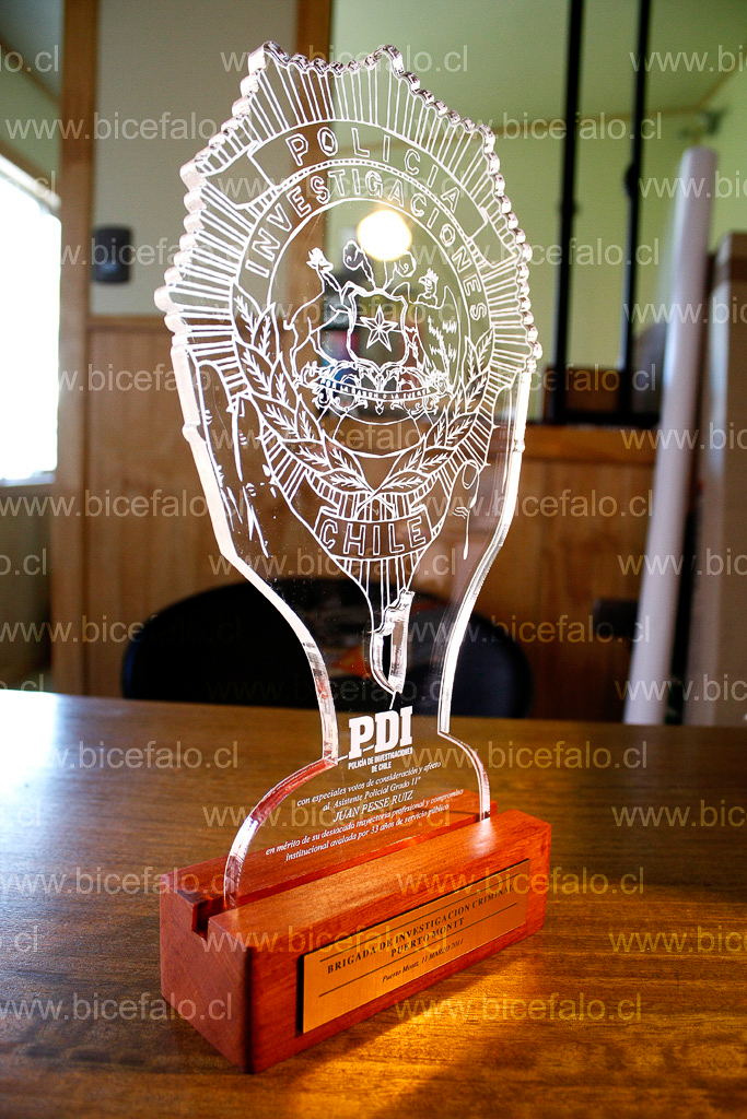 Trofeo acrilico madera PDI