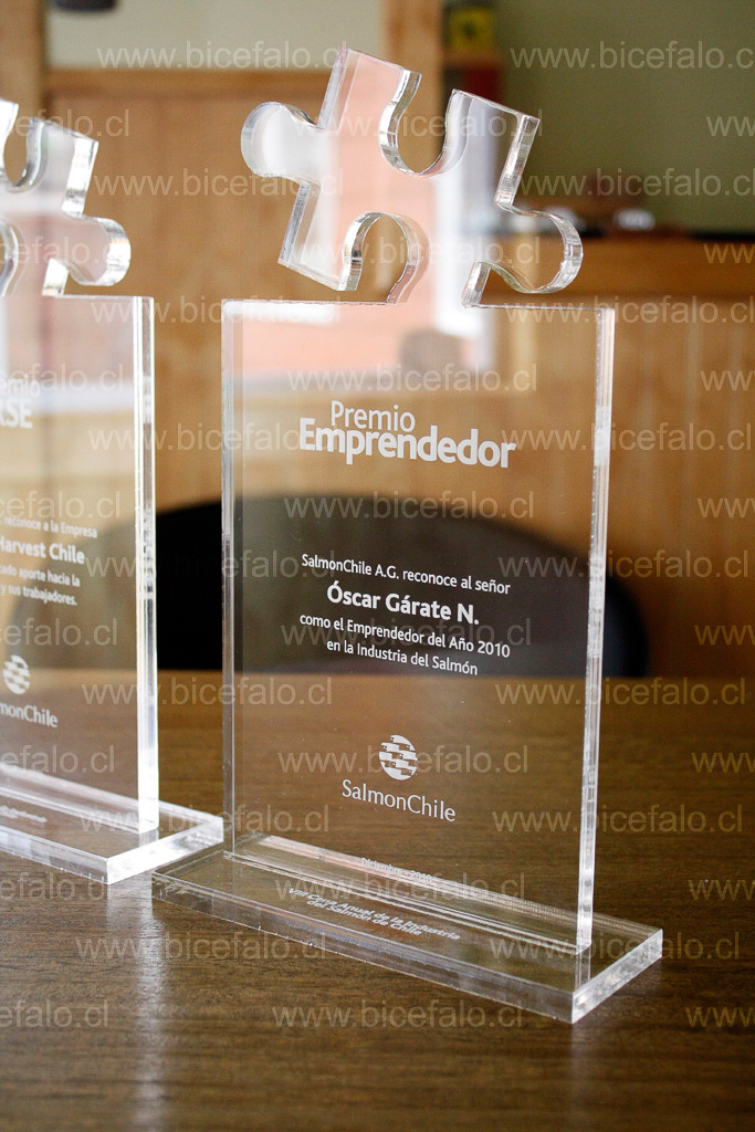 Trofeo acrilico corte puzzle